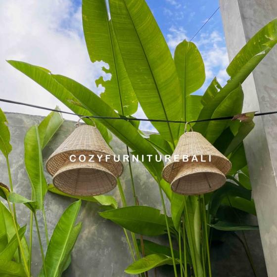 Pendant Light Type 30